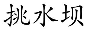 挑水坝的解释