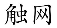 触网的解释