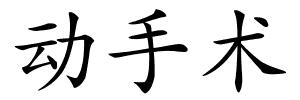 动手术的解释