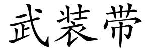 武装带的解释