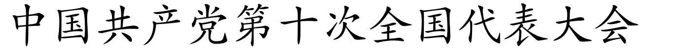 中国共产党第十次全国代表大会的解释