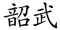 韶武的解释