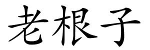 老根子的解释
