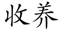 收养的解释