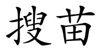 搜苗的解释