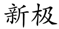 新极的解释