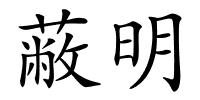 蔽明的解释