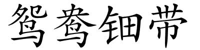 鸳鸯钿带的解释