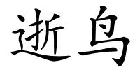 逝鸟的解释