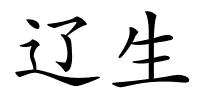 辽生的解释