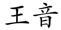 王音的解释