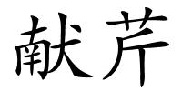 献芹的解释