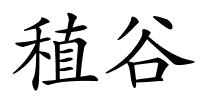 稙谷的解释