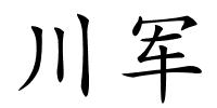 川军的解释
