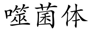 噬菌体的解释