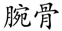 腕骨的解释