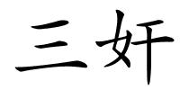 三奸的解释