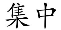 集中的解释