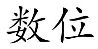 数位的解释