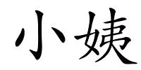 小姨的解释