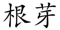根芽的解释