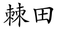 棘田的解释