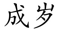 成岁的解释
