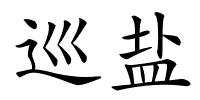巡盐的解释