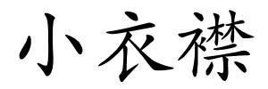 小衣襟的解释