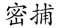 密捕的解释