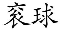 衮球的解释