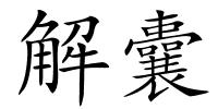 解囊的解释