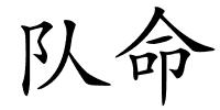 队命的解释