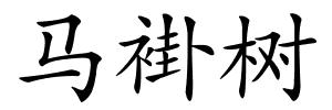 马褂树的解释