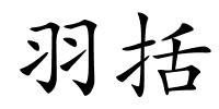羽括的解释