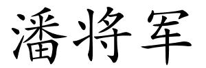潘将军的解释