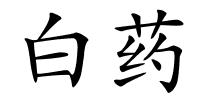 白药的解释