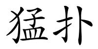 猛扑的解释