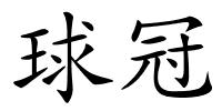 球冠的解释
