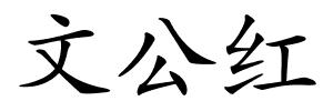 文公红的解释