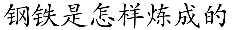 钢铁是怎样炼成的的解释