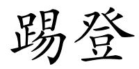踢登的解释