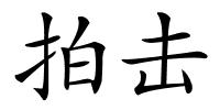 拍击的解释