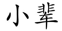 小辈的解释