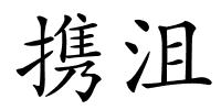 携沮的解释