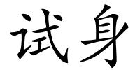 试身的解释