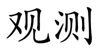 观测的解释