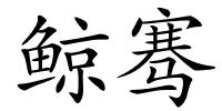 鲸骞的解释