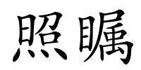 照瞩的解释