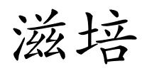 滋培的解释